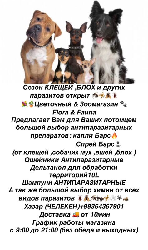 зоо - Хазар - img 5