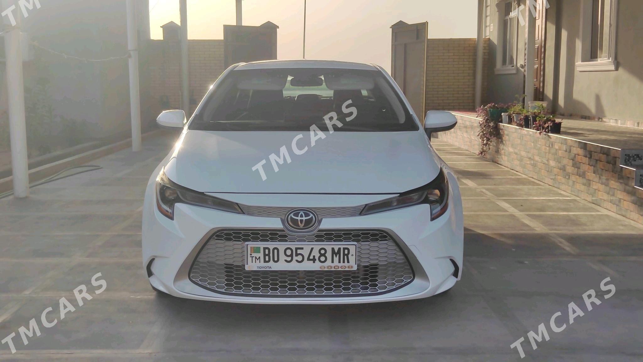 Toyota Corolla 2020 - 239 000 TMT - Mary - img 4