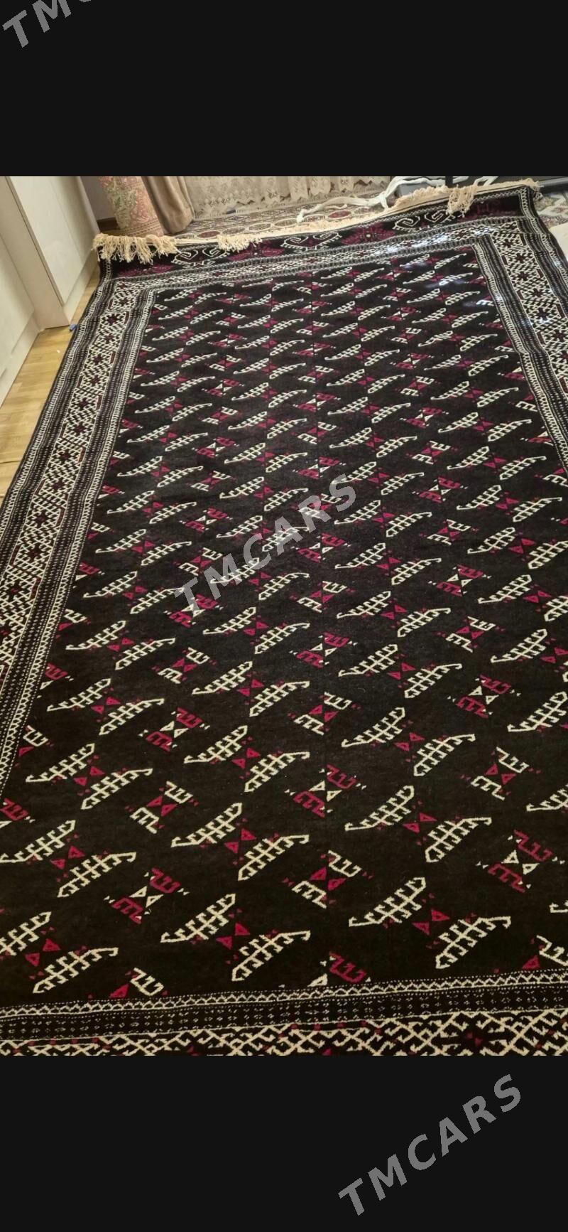 Turkmen haly - Balkanabat - img 2