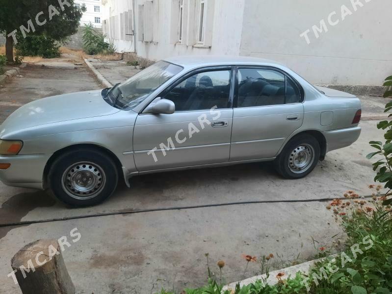 Toyota Corolla 1991 - 50 000 TMT - Halaç - img 3