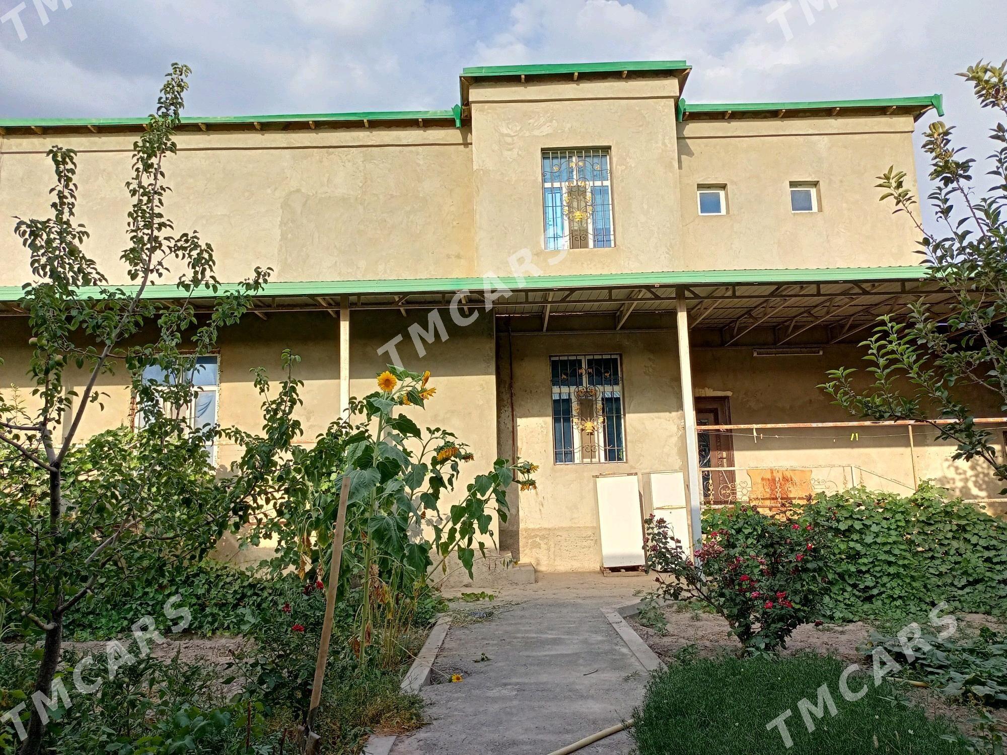 жай - Daşoguz - img 7