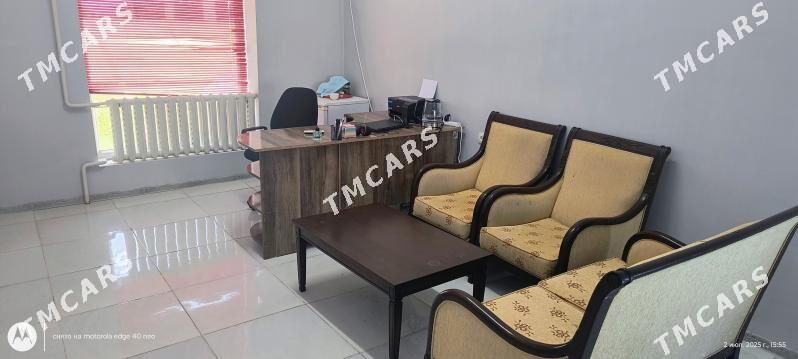 Tayar OFIS - Дашогуз - img 5