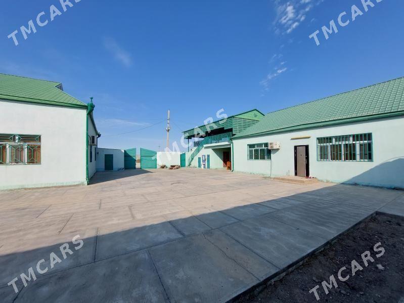 guwlymayak arenda - Туркменбаши - img 3