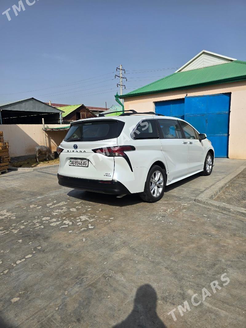 Toyota Sienna 2022 - 450 000 TMT - Ашхабад - img 3