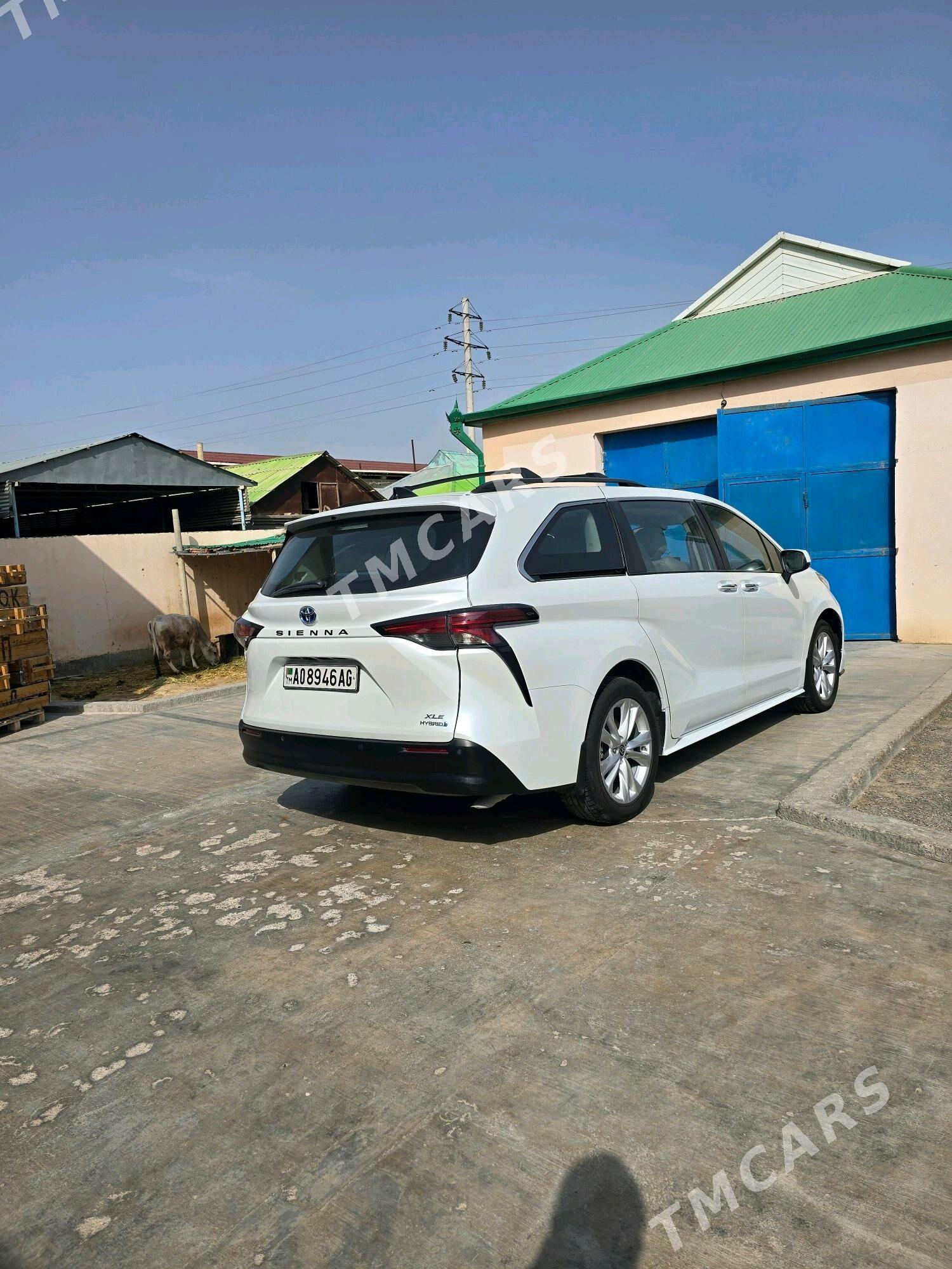 Toyota Sienna 2022 - 450 000 TMT - Ашхабад - img 5