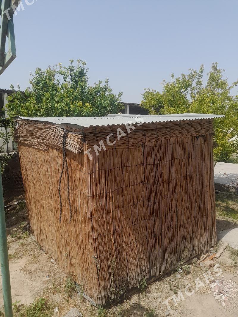 Wagon - Aşgabat - img 1