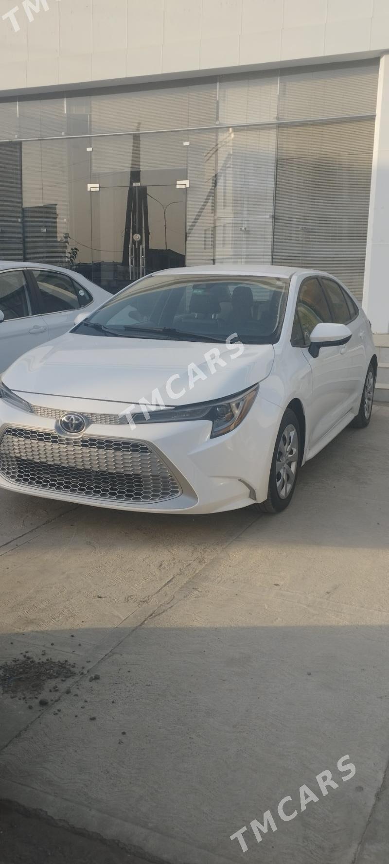 Toyota Corolla 2020 - 245 000 TMT - Mary - img 2