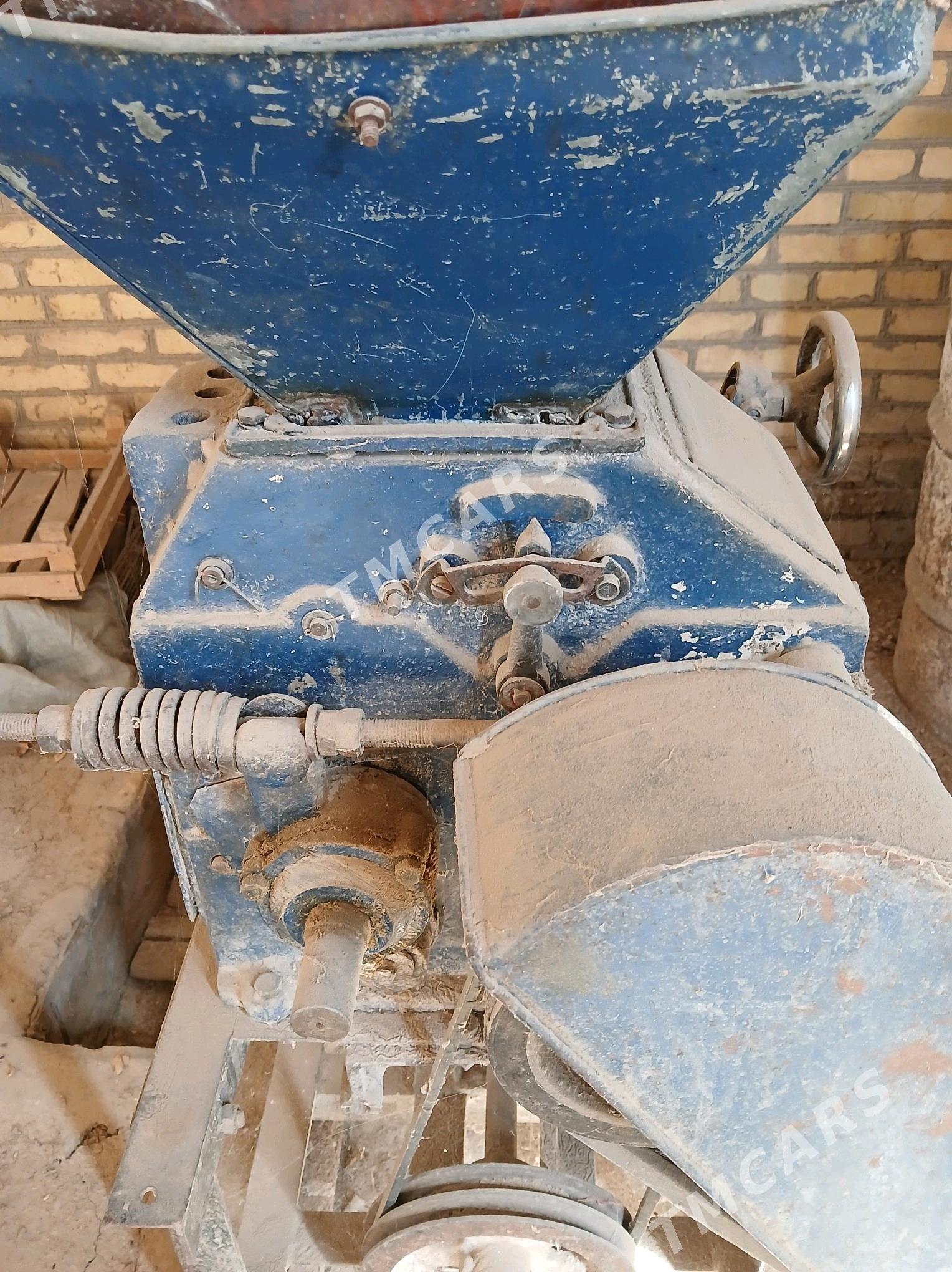 Degirmen - Halaç - img 2