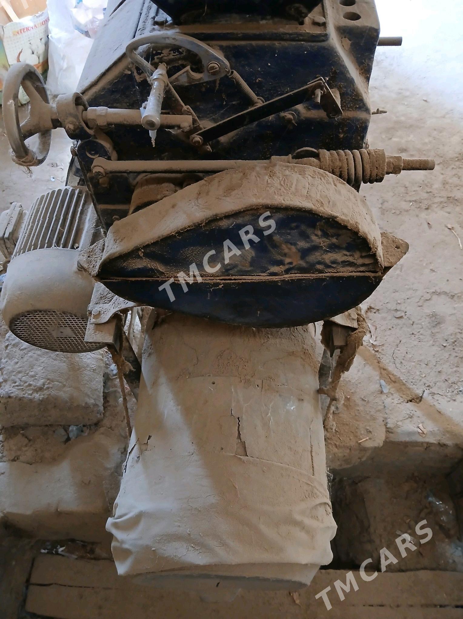Degirmen - Halaç - img 4