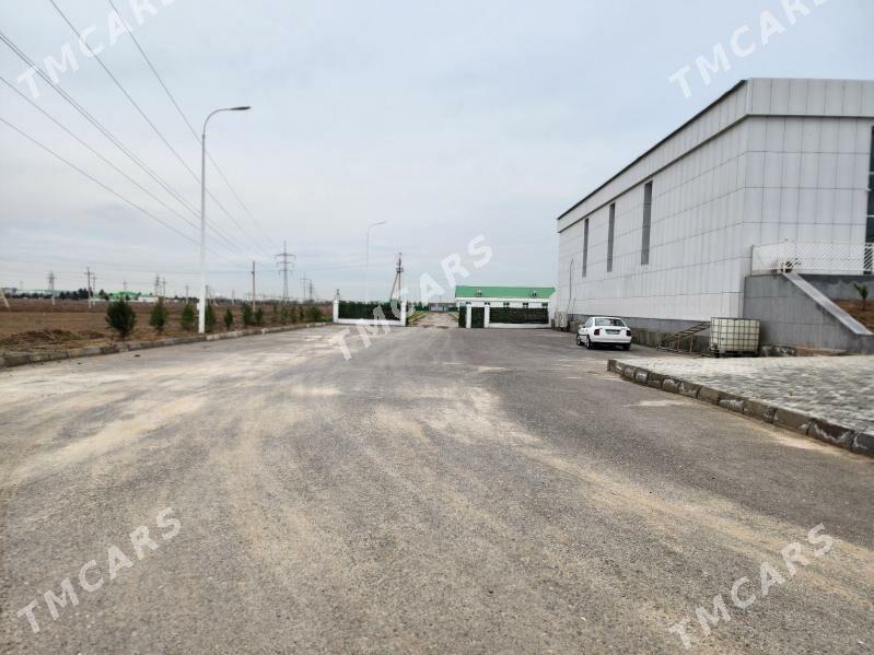 arenda - Ялкым - img 6