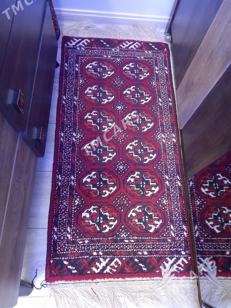 haly - Türkmenbaşy - img 2