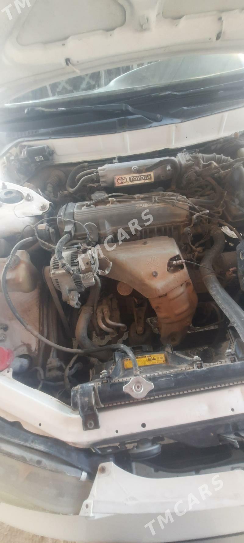 Toyota Camry 1995 - 70 000 TMT - Мары - img 8