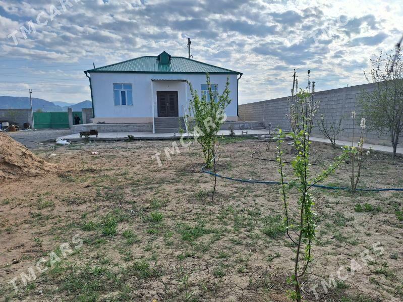 Bugdayly plan jay 16 sot - Ак-Бугдайский этрап - img 5