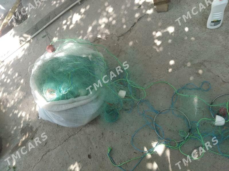 Tor - Türkmenbaşy - img 2