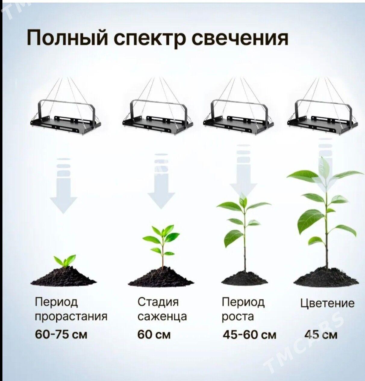 Фитолампа - Ашхабад - img 3
