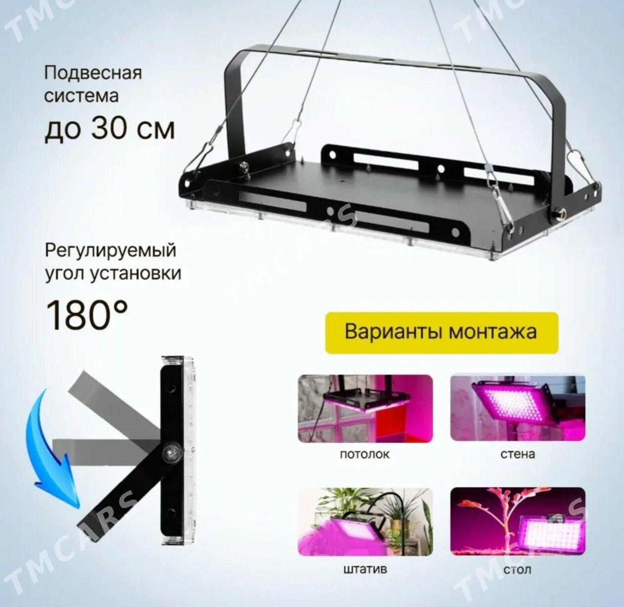 Фитолампа - Ашхабад - img 2
