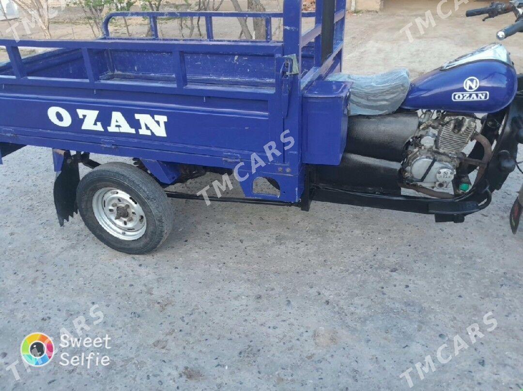 Ozan 200CC 2013 - 14 000 TMT - Дянев - img 3