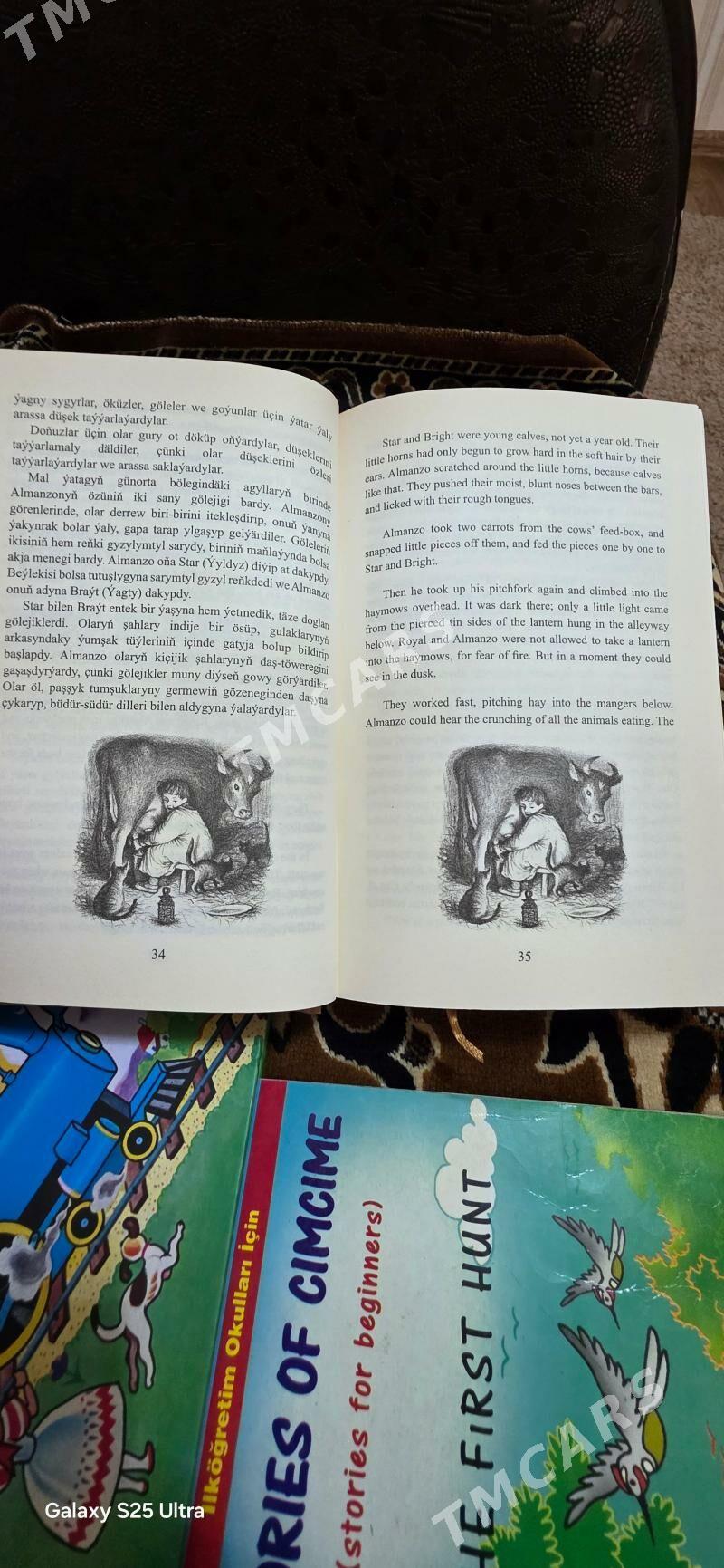 книги на английском - Балканабат - img 2