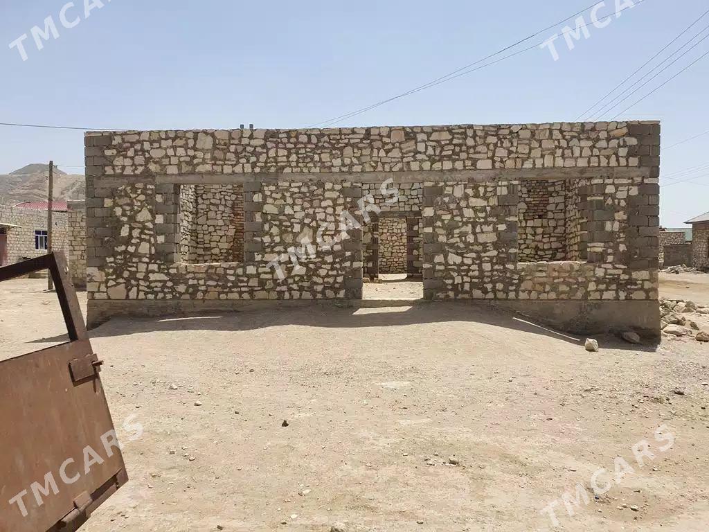 Satlyk jay - Jebel - img 2