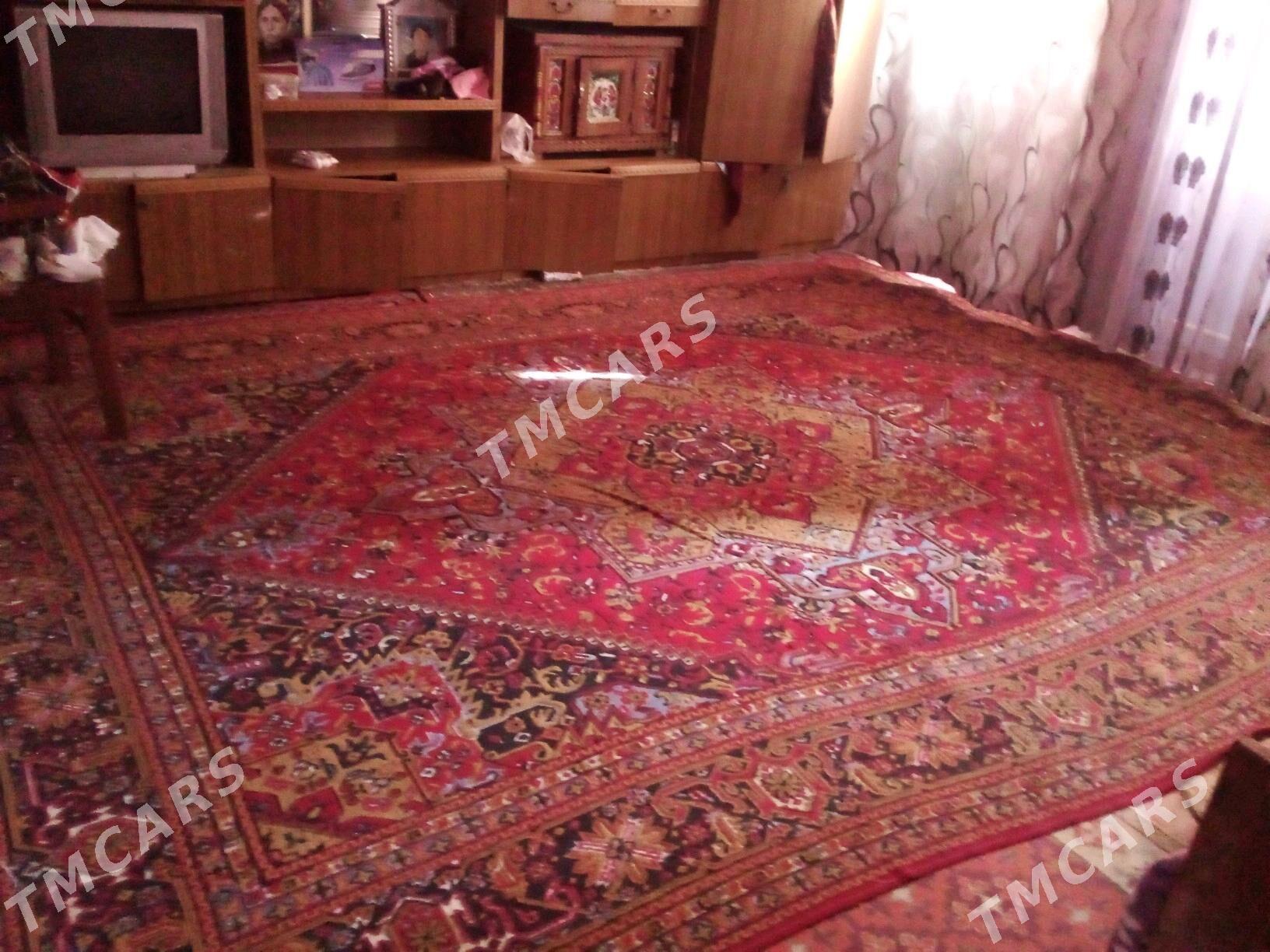 hali - Daşoguz - img 3