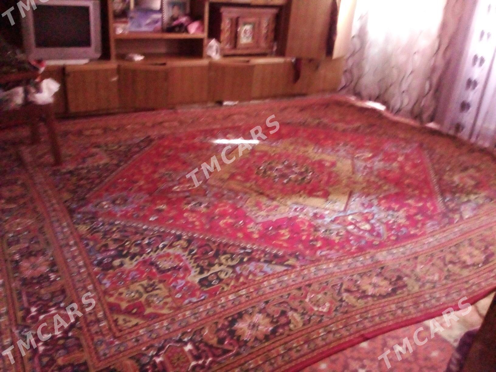 hali - Daşoguz - img 4