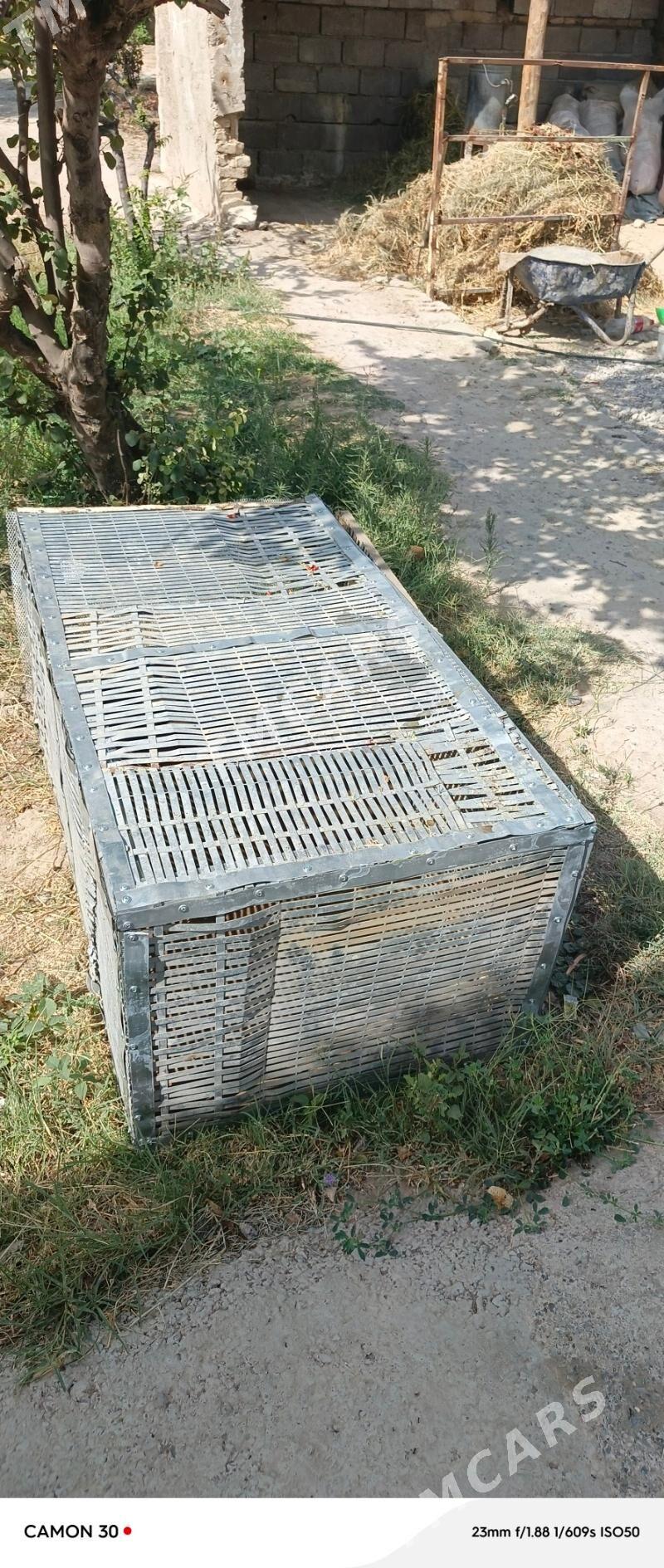 towşan ýatak - Гёкдже - img 4