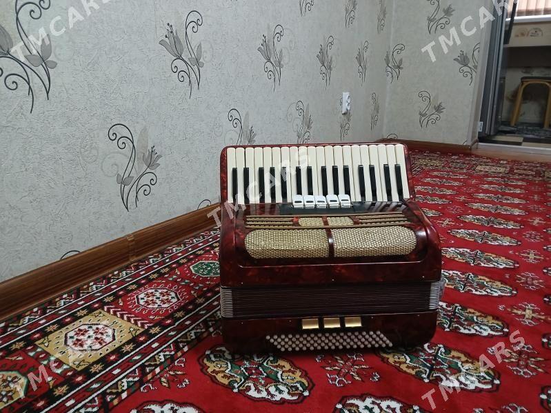 Akkardeon - Aşgabat - img 2
