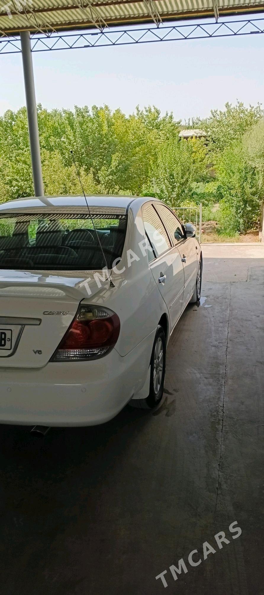 Toyota Camry 2002 - 145 000 TMT - Halaç - img 8