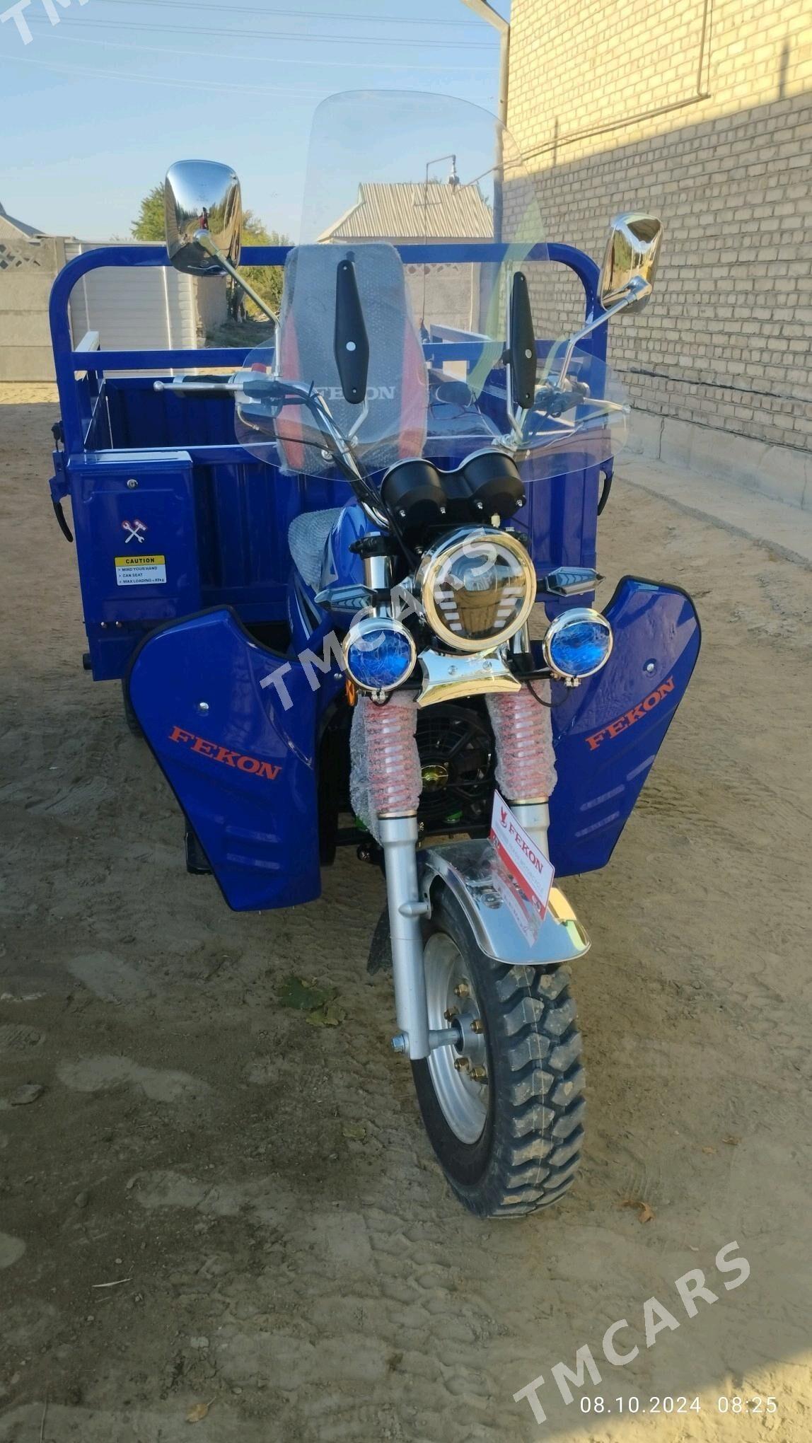 Fekon FK200-14G 2024 - 30 000 TMT - Sakarçäge - img 3