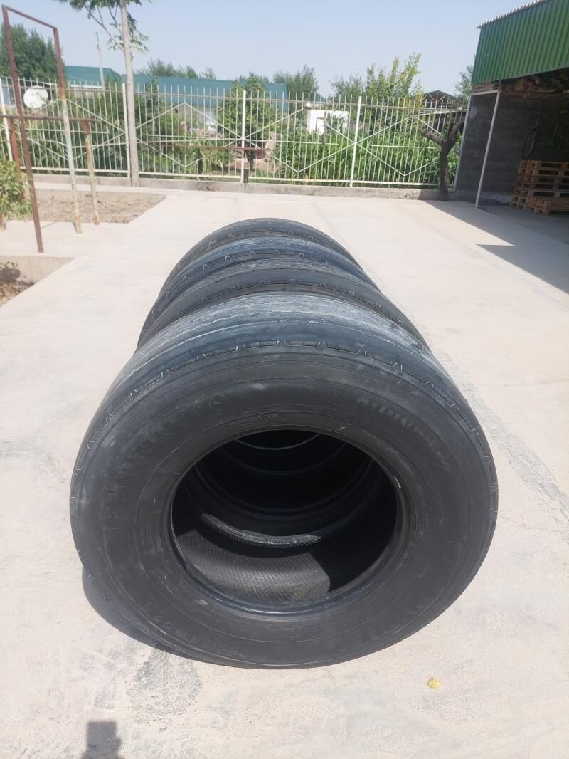 385 65 22.5 pilot 900 TMT - Bagyr - img 3