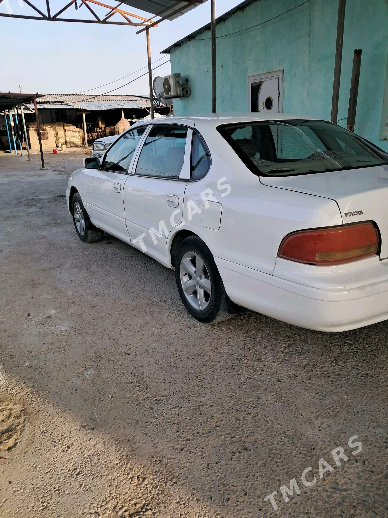Toyota Avalon 1997 - 85 000 TMT - Ak bugdaý etraby - img 4