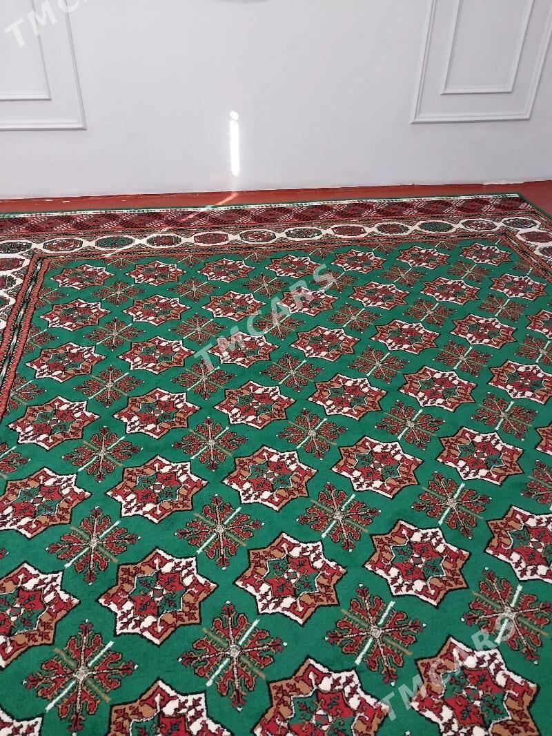 Abadan haly - Арзув - img 4
