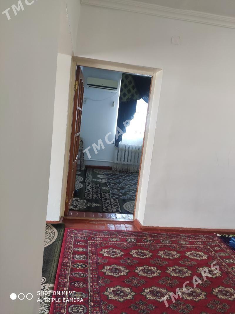 AKDASHDA SATLYK JAY - Türkmenbaşy - img 3