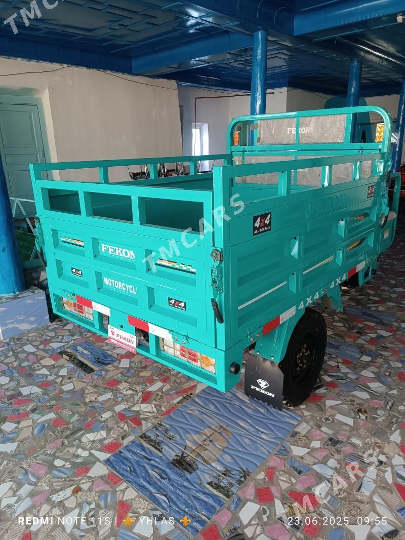 Fekon FK200-14G 2024 - 31 000 TMT - Фарап - img 2