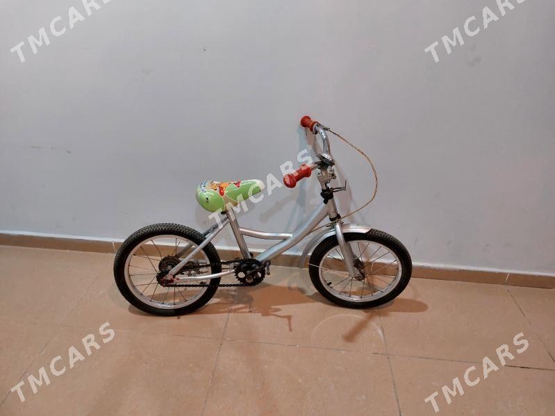 tigir - Aşgabat - img 2
