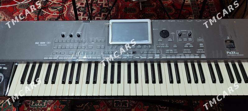 Korg Pa 3 X Le - Garabekewül - img 4