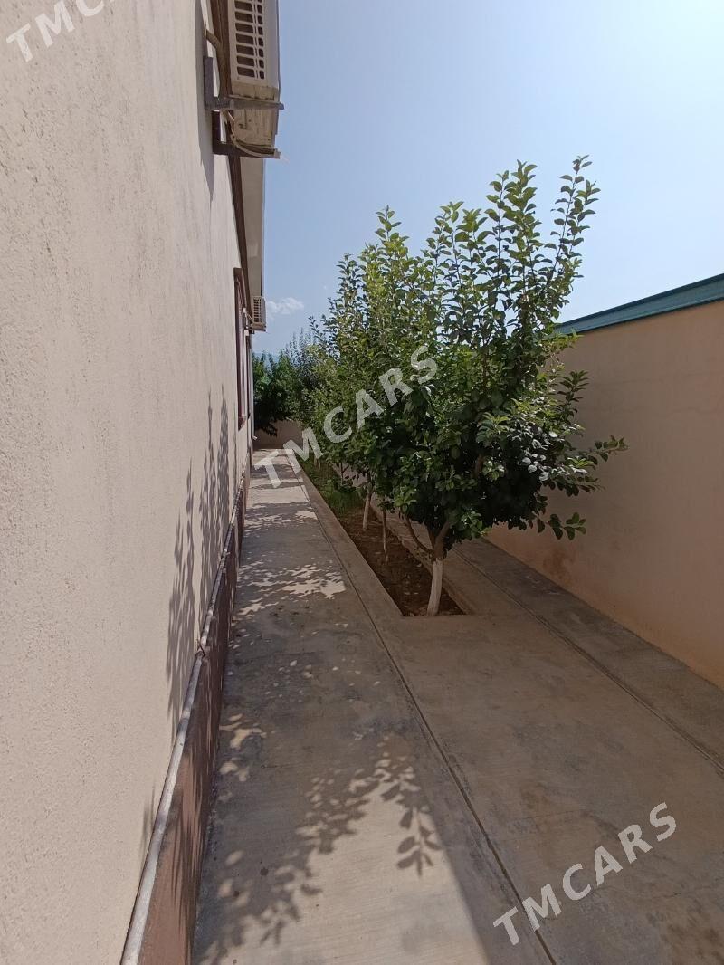 БАГИР МИРЕВЕ BAGYR 2 PLAN - Büzmeýin - img 3