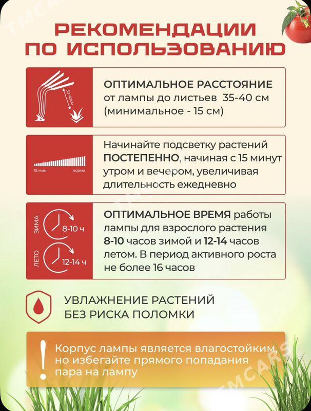 фитолампа - Ашхабад - img 5