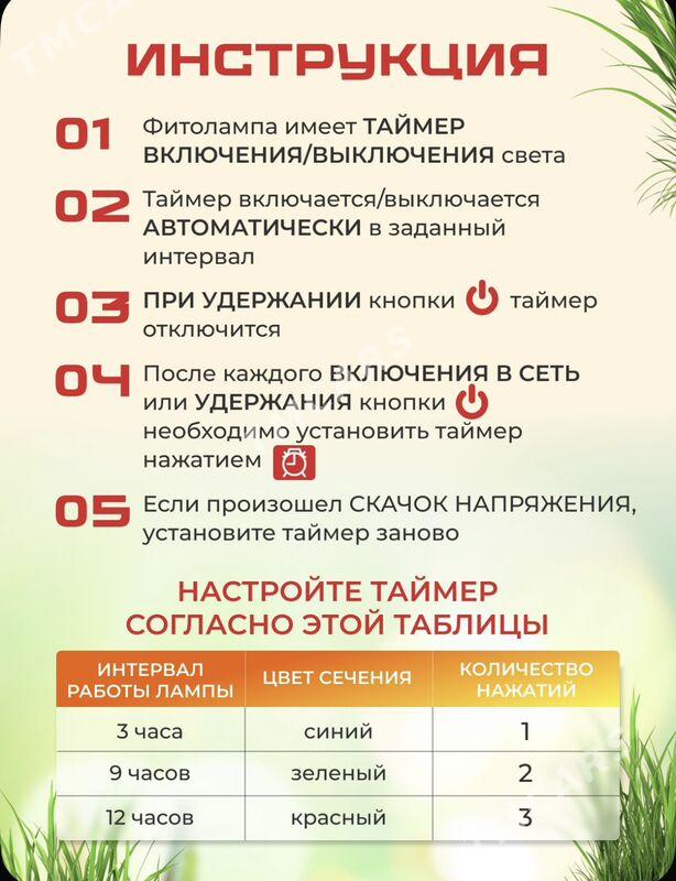 фитолампа - Ашхабад - img 4