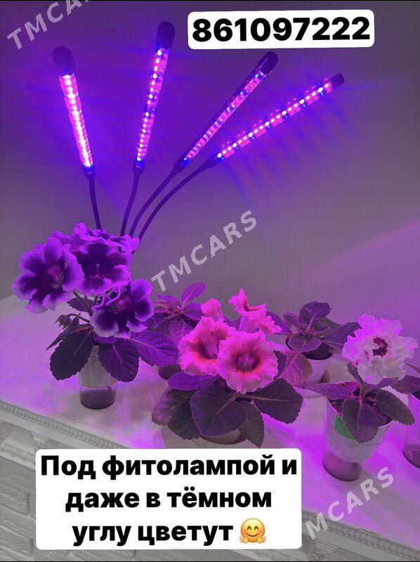 фитолампа - Ашхабад - img 7
