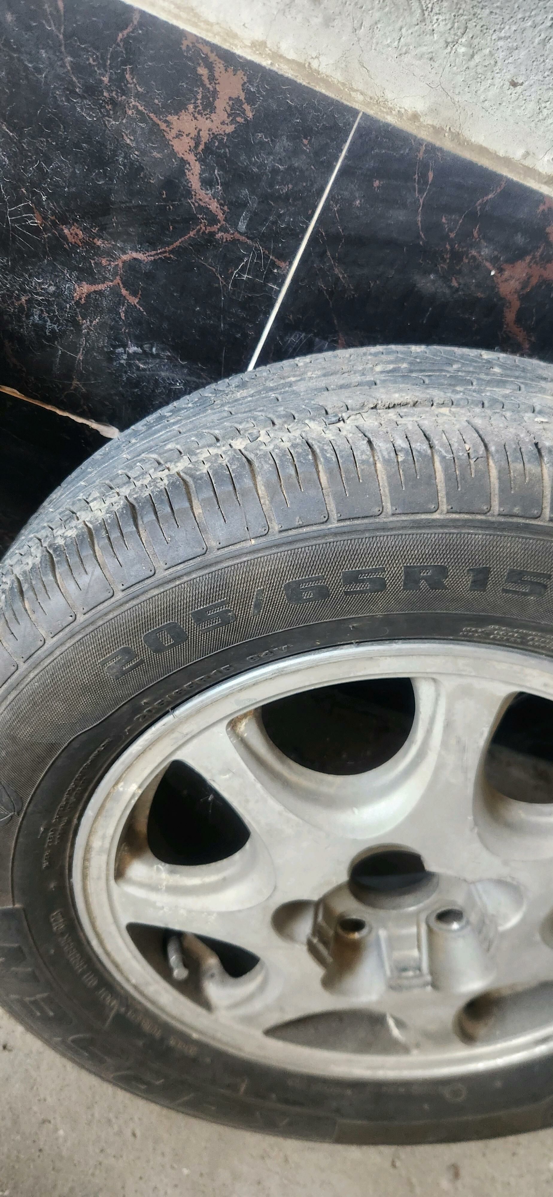 disa teker lisicka 3 000 TMT - Aşgabat - img 2