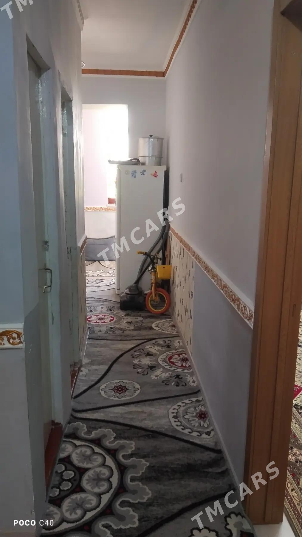 Buzmeyin Kruk - Büzmeýin - img 2