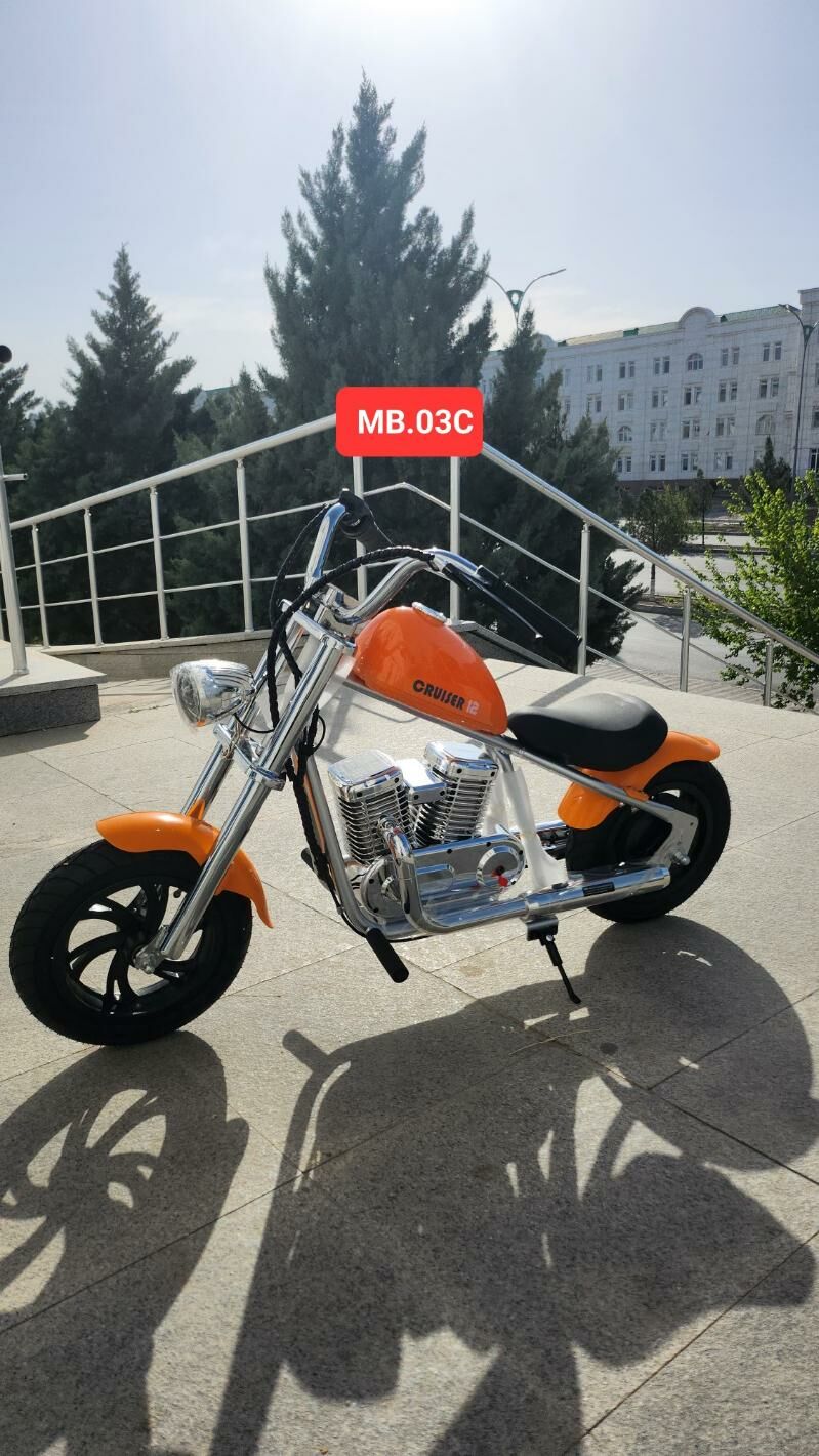 TIGIR PARTA BASEYKA MATOR - Кëши - img 2