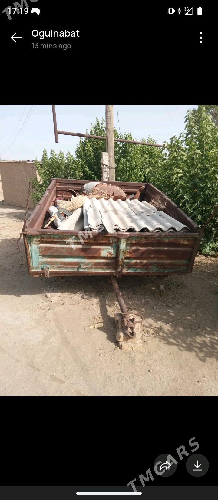 teleke - Ёлётен - img 2