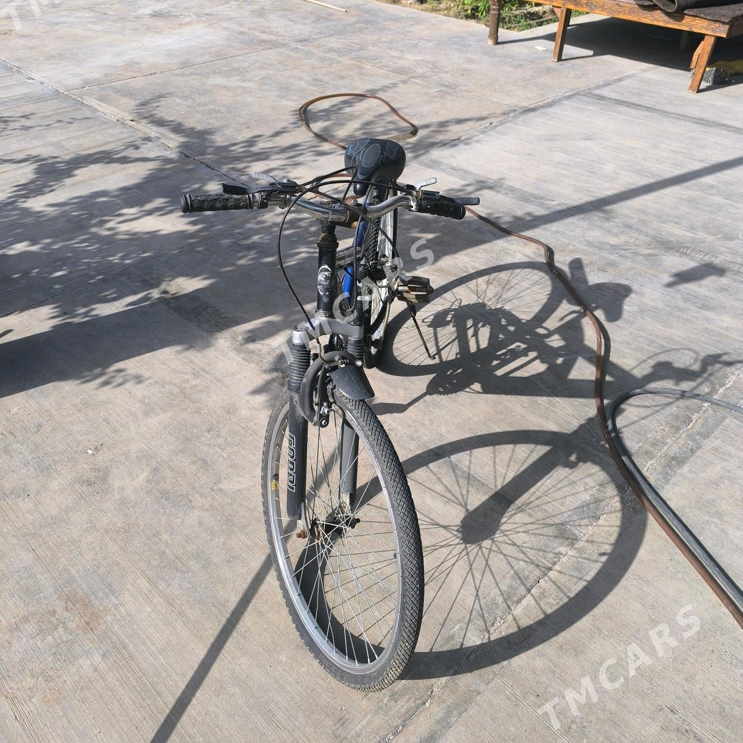 Tigir coppi - Çoganly - img 2
