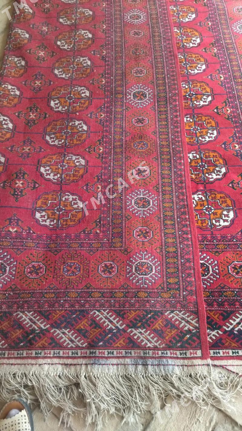 Turkmen Haly - Baýramaly - img 2