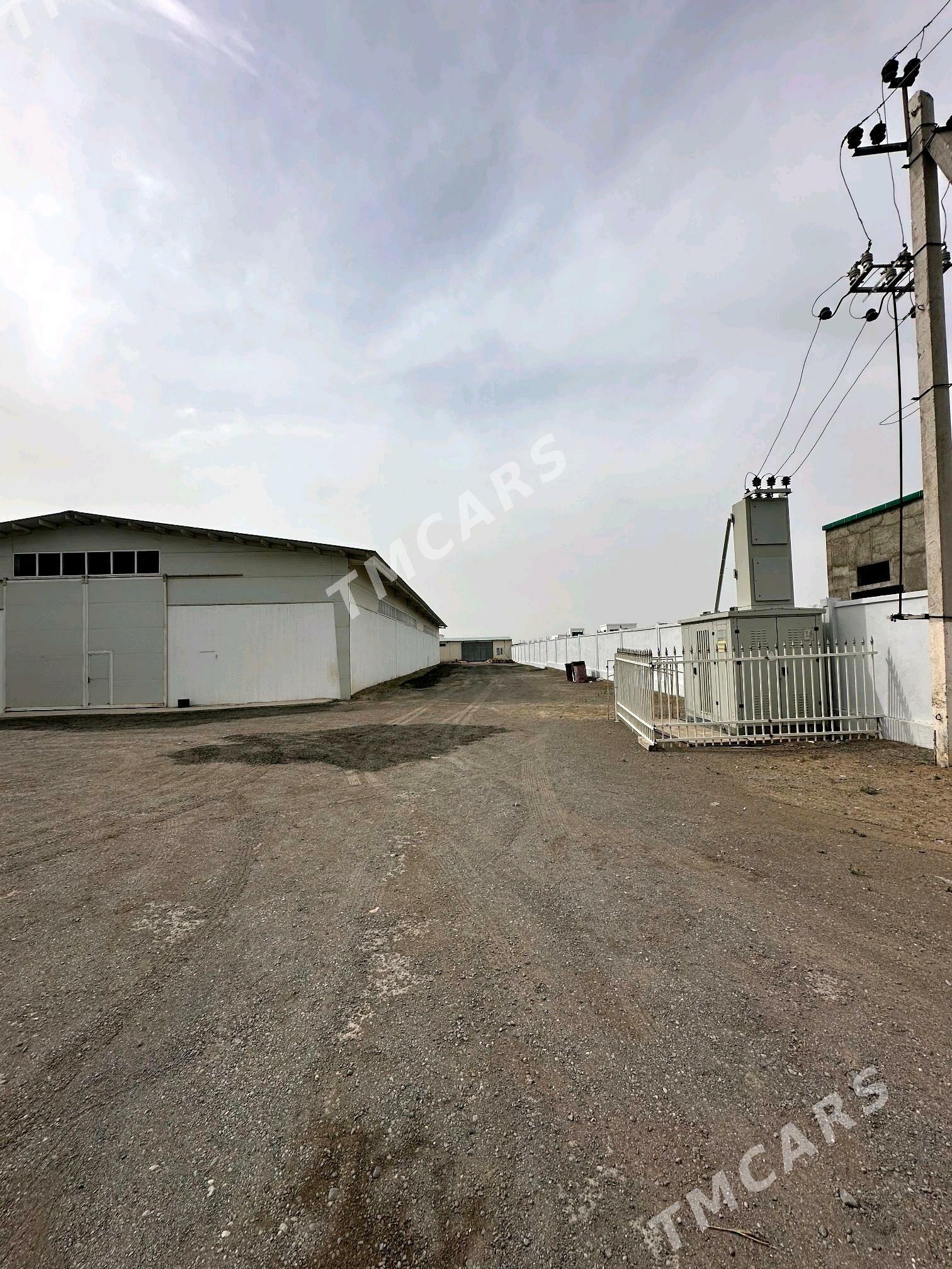 PROM-ZONA - Aşgabat - img 3