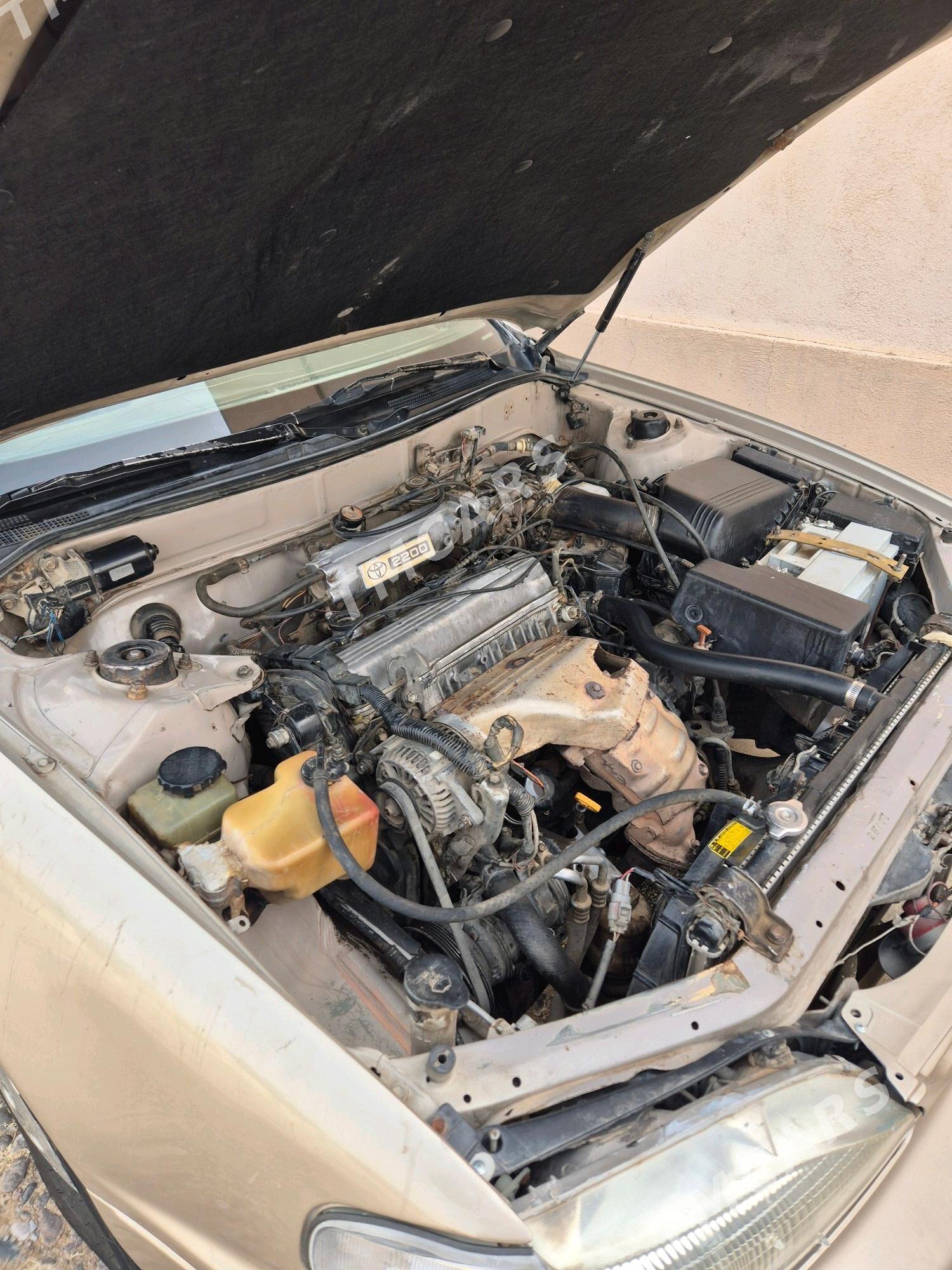 Toyota Camry 1996 - 75 000 TMT - Serhetabat (Guşgy) - img 3