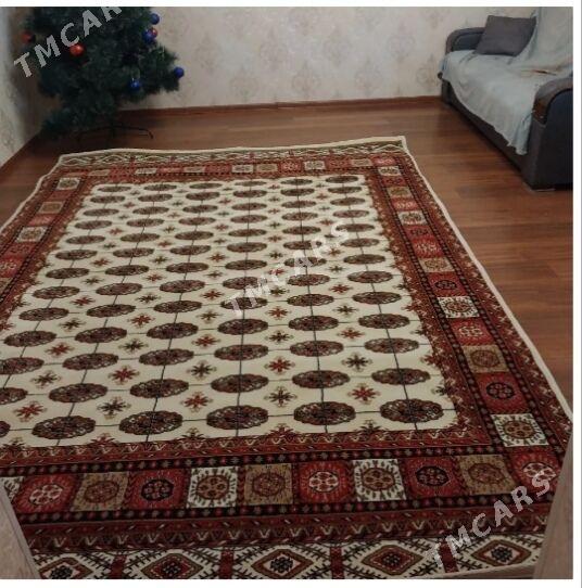 haly tazeje yazylmadyk - Gyzylarbat - img 2