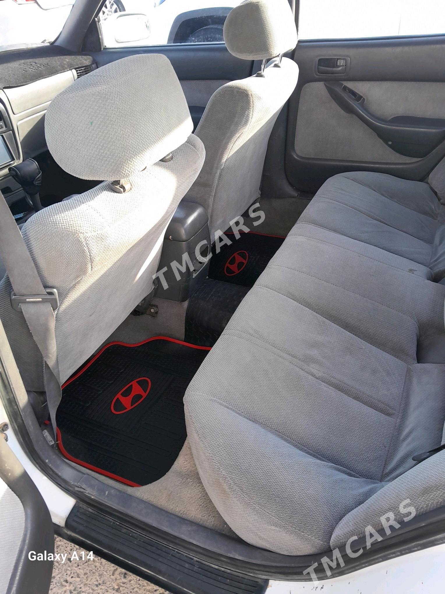 Toyota Camry 1995 - 80 000 TMT - Sakarçäge - img 4